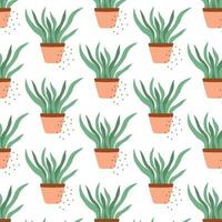 pattern with houseplant. Vector illustration in hand drawn style.