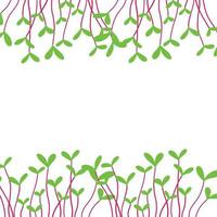Frame with microgreens. Horizontal frame with microgreens. vector illustration in hand drawn style.