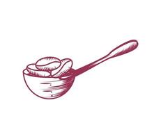 spoon with coffee seeds vector