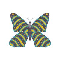 big butterfly animal vector