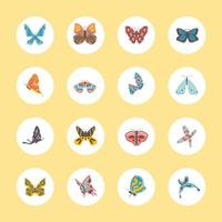 butterflies round icons vector