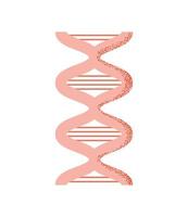 DNA structure icon vector