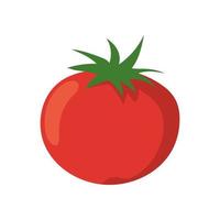 tomate vegetal fresco vector