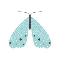 cute butterfly icon vector