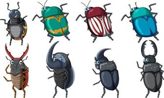 conjunto de diferentes insectos y escarabajos en estilo de dibujos animados vector