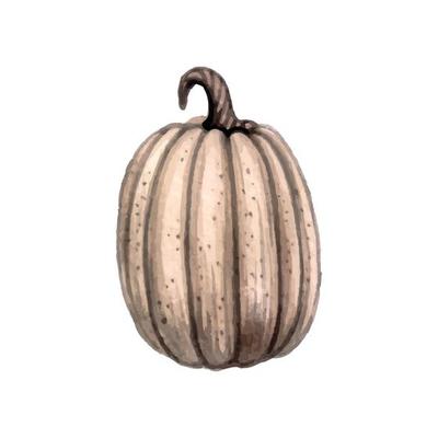 Halloween watercolor grey pumpkin