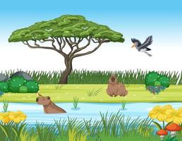 Scene with wombats and stork by the river vector