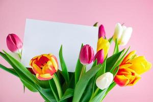 Delicate tulips and greeting card on pink background. photo