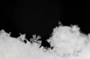 hermoso cristal de nieve en nieve fresca foto