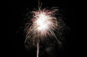 delicate single fireworks photo
