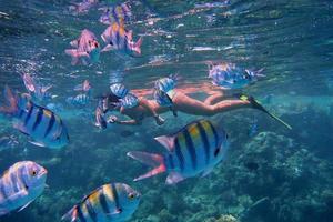 woman dive between fish photo