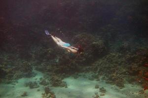 woman in bikini diving photo