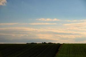 diferentes campos con cielo y nubes foto