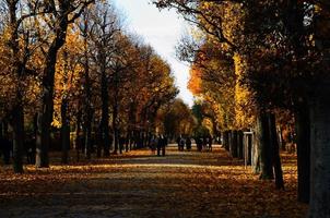 caminar en el parque del castillo de viena foto