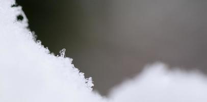 pequeño cristal en panorama de nieve foto
