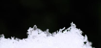 snow crystals and green background panorama photo