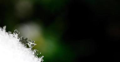 wonderful snow crystal panorama photo