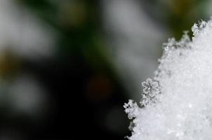 crystal flower in the snow