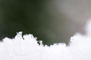 many snow crystals with dark green photo