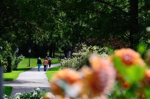 pensioner walking in the park photo