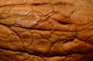 surface of a walnut photo