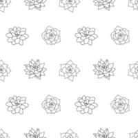 Hand drawn seamless pattern succulent in style outline doodle. Graphics sketch set home desert flower. Vector illustration, isolated black elements on a white background