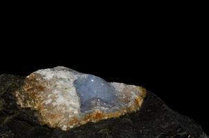 blue chalceton on black photo