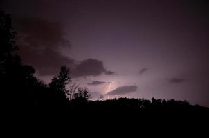 forest with trees and lightning photo