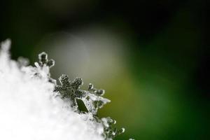 wonderful snow crystal macro photo