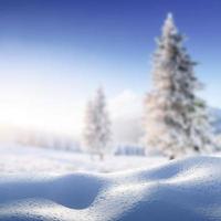 fondo de invierno con un montón de paisaje de nieve. árbol mágico cubierto de nieve de invierno. Feliz año nuevo. cárpato Ucrania. foto