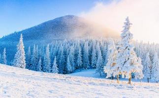 Mysterious winter landscape majestic mountains in winter. Magical winter snow covered tree. Winter road in the mountains. In anticipation of the holiday. Dramatic wintry scene. Carpathian. Ukraine. photo