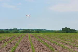 drone quad copter with high resolution digital camera on green corn field photo