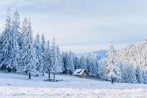 cabaña en las montañas en invierno. niebla misteriosa. en previsión de las vacaciones. montes de Cárpatos. ucrania, europa foto