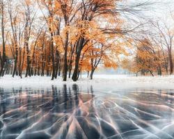 October mountain beech forest with first winter snow and blue ice and cracks on the surface of the ice. Winter. Ukraine, Europe
