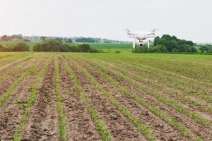 drone quad copter with high resolution digital camera on green corn field photo