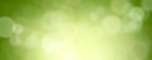 abstract sprint backgroundand summer background with light bokeh photo