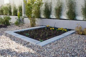 Small piece of land used as urban garden. Growing vegetables and flowers. Watering system. photo