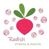 Fresh orange Radish with green leaves, health food, vector icon. Vitamins and minerals. Health benefits of Radish.