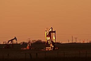 bombas de aceite en el campo de saskatchewan foto