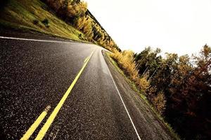 líneas centrales a lo largo de una carretera pavimentada en otoño foto