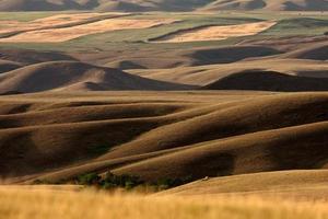 gran valle fangoso de saskatchewan foto