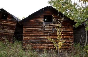 Abandoned homestead in Alberta photo