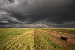 Storm clouds over Saskatchewan photo