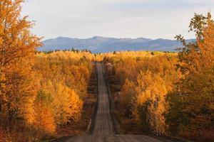 Autumn colored trees along road in British Columbia photo