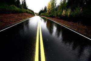 autopista cassiar húmeda a través del norte de columbia británica foto