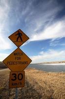 Pedestrian sign with snow geese behind photo