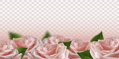 Realistic pink 3d rose flowers. Vector illustration