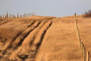 Prairie trail in autumn photo