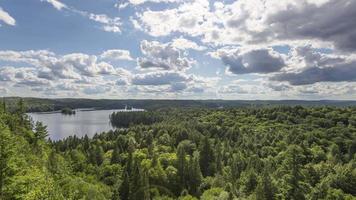 Secuencia de lapso de tiempo de 4k del parque provincial de algonquin, canadá - el parque durante el verano video