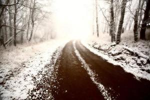 Ice fog in Cypress Hills Provincial Park of Saskatchewan photo